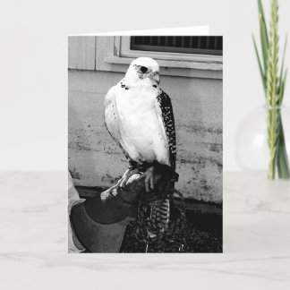 Gyrfalcon reposant sur le carte pour notes du manc