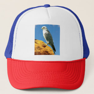 Gyrfalcon steht auf einem Felsen Truckerkappe