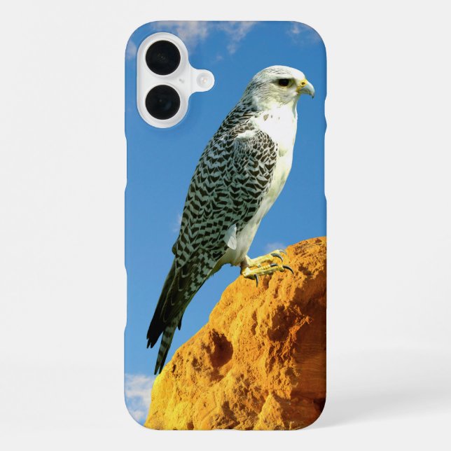 Gyrfalcon steht auf einem Rocktelefon iPhone 16 Plus Hülle (Rückseite)
