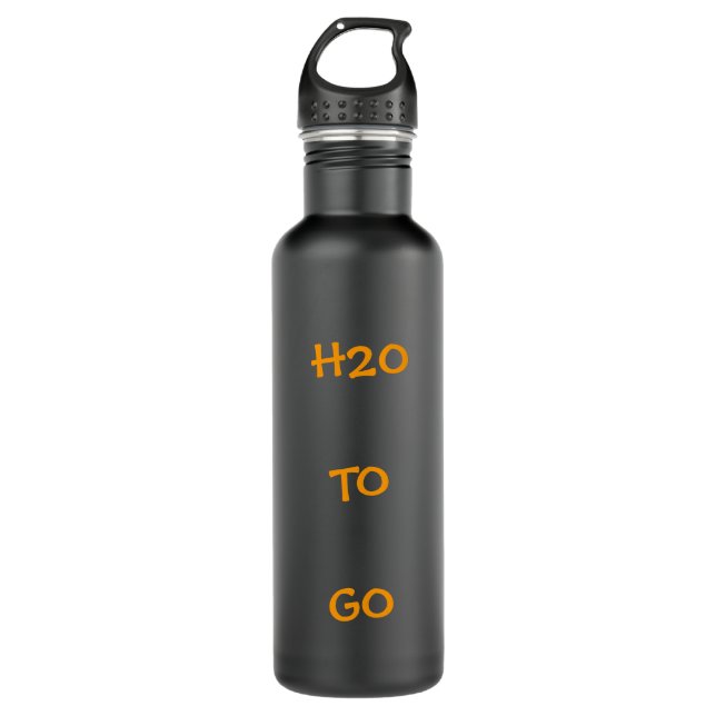 H2O ZUM ZU GEHEN EDELSTAHLFLASCHE (Vorderseite)