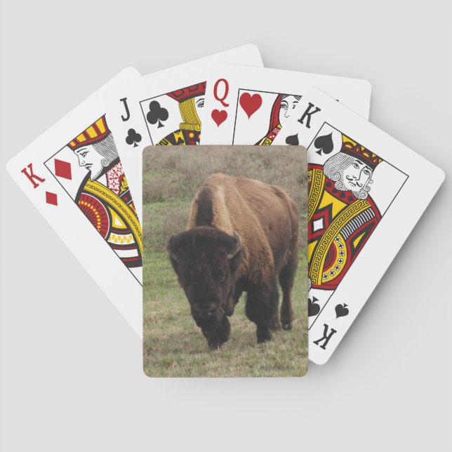 H.A.S. Cartes de jeu de bison d'arts (dos)