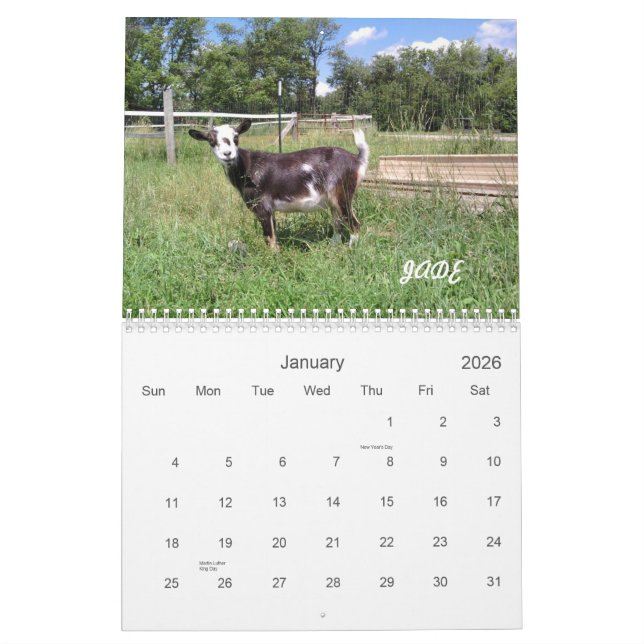 H.H. Calendrier des chèvres 2010 de jardin (Jan 2026)