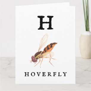 "H" Hoverfly Faltenkarte Karte