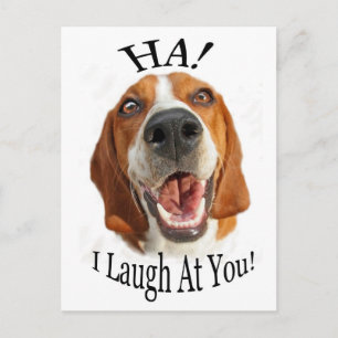 HA! Ich lache dich an! Postkarte