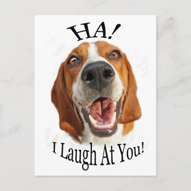 HA! Ich lache dich an! Postkarte (Vorderseite)