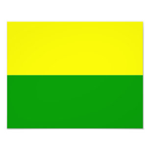 Haager Flagge Fotodruck