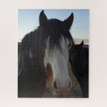 Haare im Augen-Puzzle