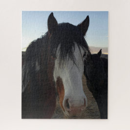 Haare im Augen-Puzzle