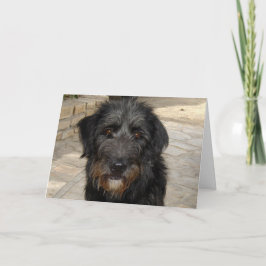 Haariges schwarzer Hundegesicht Karte