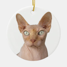 Haarlose Sphynx-Katze Keramik Ornament