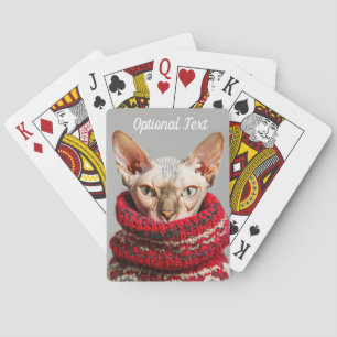 Haarlose Sphynxkatze im Pullover Spielkarten