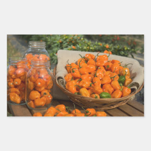 Habanero Garden Rechteckiger Aufkleber