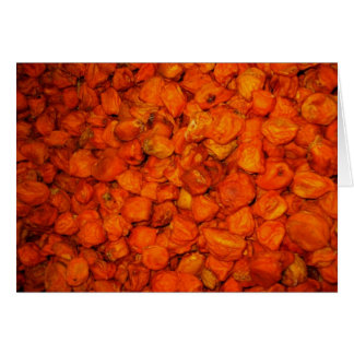 Habaneros, Habaneros und mehr Habaneros