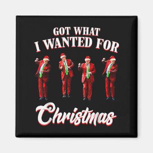 Habe das bekommen, was ich zu Weihnachten wollte, Magnet
