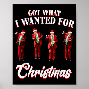 Habe das bekommen, was ich zu Weihnachten wollte, Poster