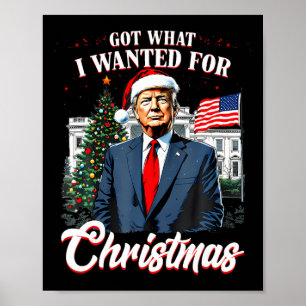 Habe das bekommen, was ich zu Weihnachten wollte T Poster