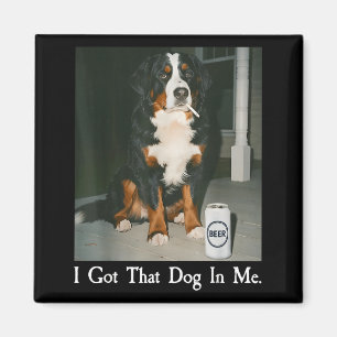Habe diesen Hund in lustigem Berner Sennenhund Lie Magnet