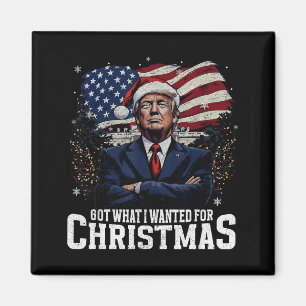 Habe, was ich zu Weihnachten wollte Trump 2024 Tee Magnet