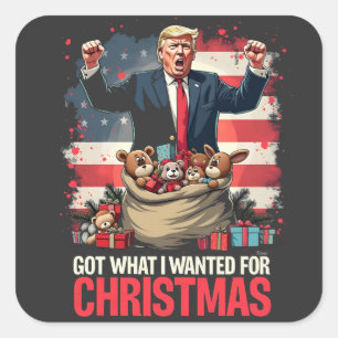 Habe, was ich zu Weihnachten wollte Trump Santa Quadratischer Aufkleber