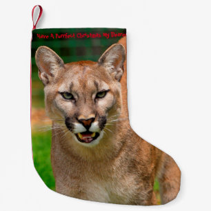 Haben Sie ein Weihnachtsfest Kleiner Weihnachtsstrumpf