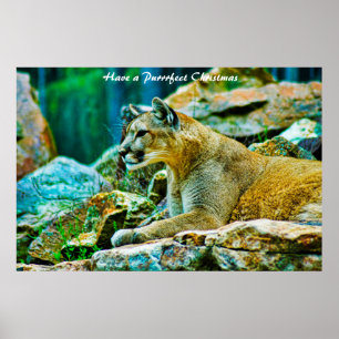 Haben Sie ein Weihnachtsfest Poster