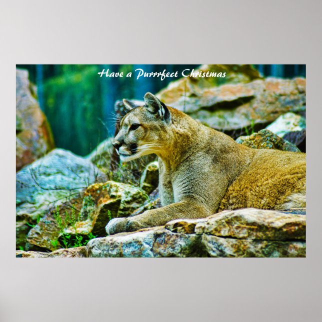 Haben Sie ein Weihnachtsfest Poster (Vorne)