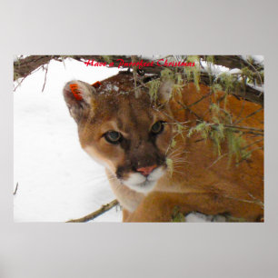 Haben Sie ein Weihnachtsfest Poster