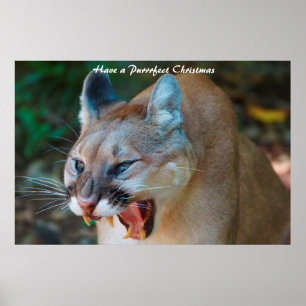 Haben Sie ein Weihnachtsfest Poster