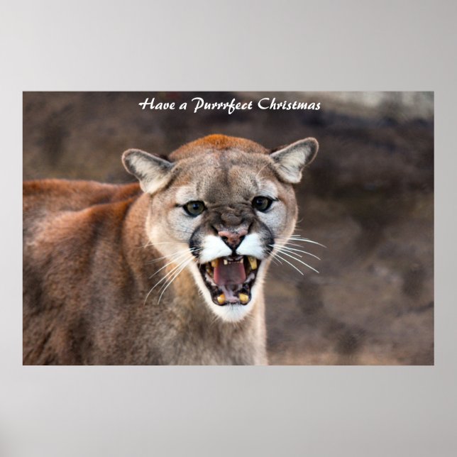 Haben Sie ein Weihnachtsfest Poster (Vorne)