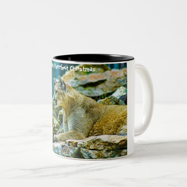 Haben Sie ein Weihnachtsfest Zweifarbige Tasse (VorderseiteRechts)