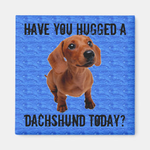 Haben Sie eine Dackel heute umarmt? Magnet