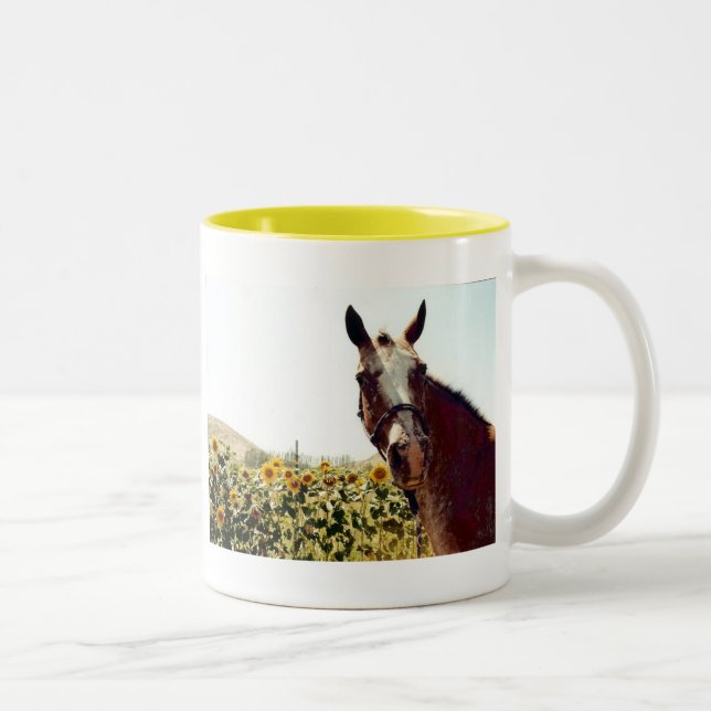 Haben Sie eine Schale Sonnenschein! Zweifarbige Tasse (Rechts)