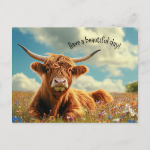 Haben Sie eine schöne Hochlandkuh Postkarte