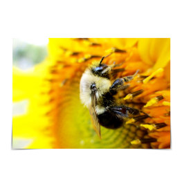 Haben Sie eine schöne Sonnenblume-Karte für den Ta Karte