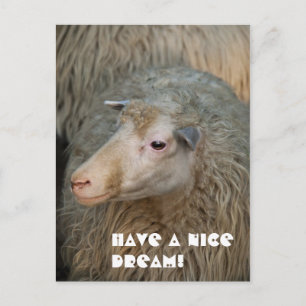 Haben Sie eine schöne Traum-Postkarte Postkarte