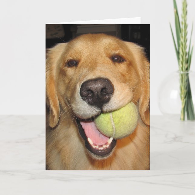 Haben Sie einen Ball! Karte (Vorderseite)