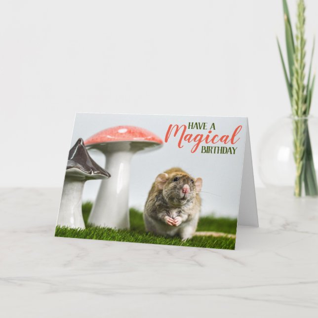 Haben Sie einen magischen Geburtstag Karte (Vorderseite)