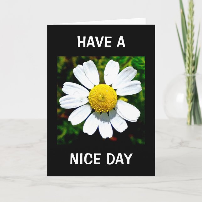 Haben Sie einen schönen Geburtstag? Karte (Vorderseite)