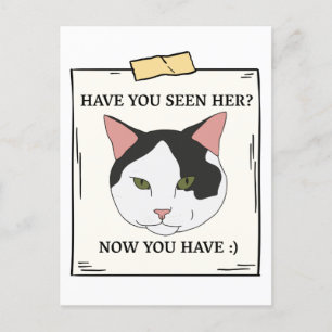Haben Sie Katze jetzt Gewollt? Postkarte