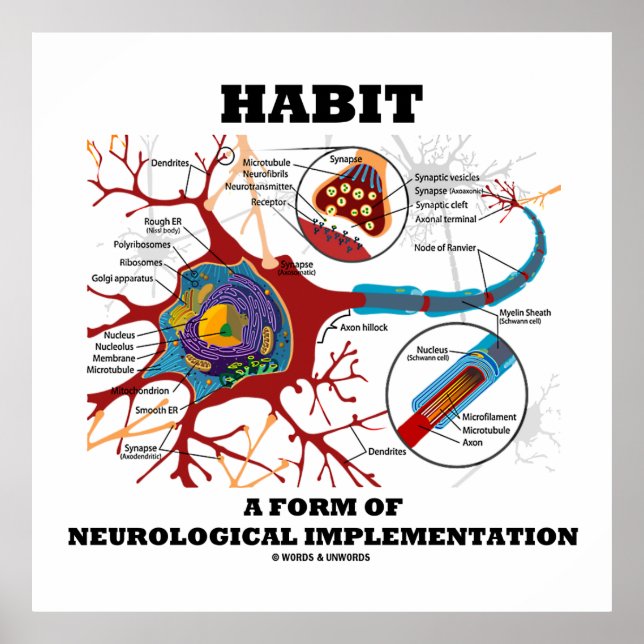 Habit eine Form neurologischer Implementation Neur Poster (Vorne)
