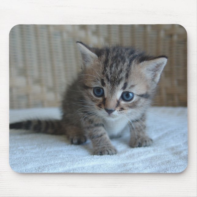 Habus Mousepad (Vorne)