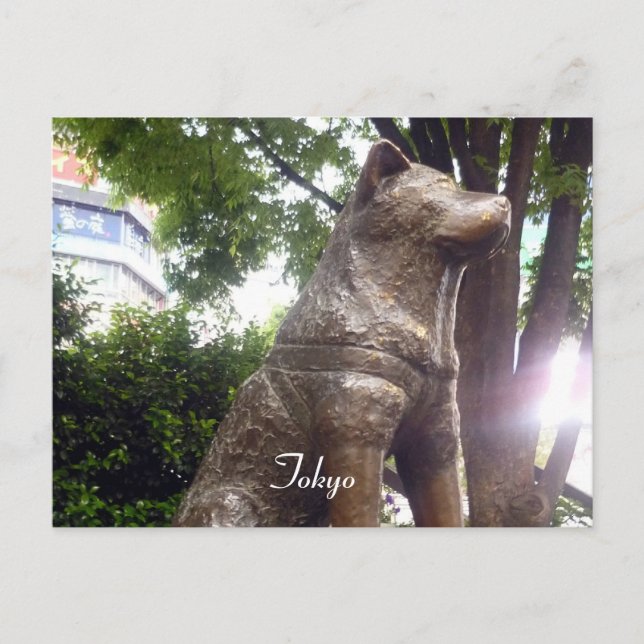 Hachiko shibuya postkarte (Vorderseite)