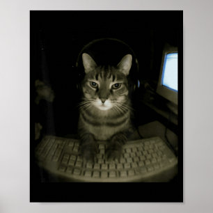 Hacker-Katzen-Meme Lustige Computerkatze Kätzchen- Poster