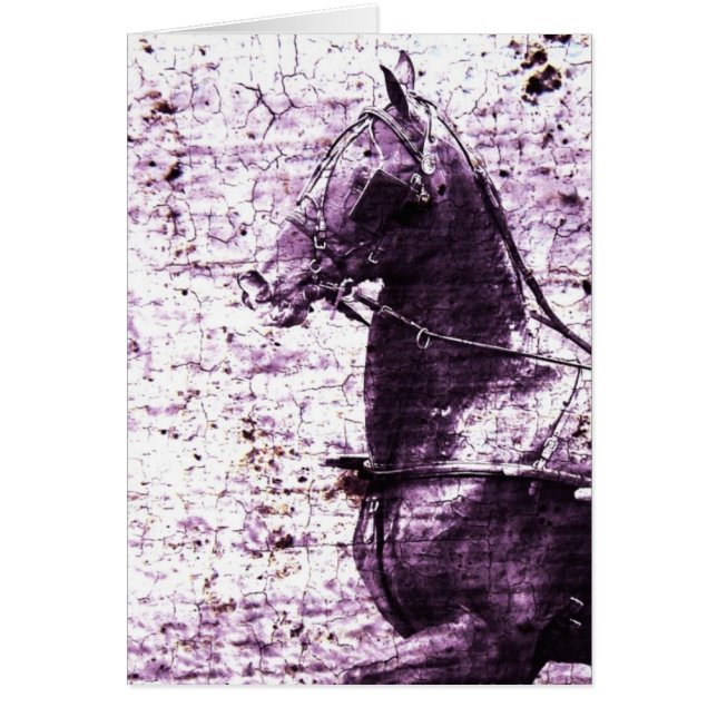 Hackey Crackle Digitale Kunst (Vorne)
