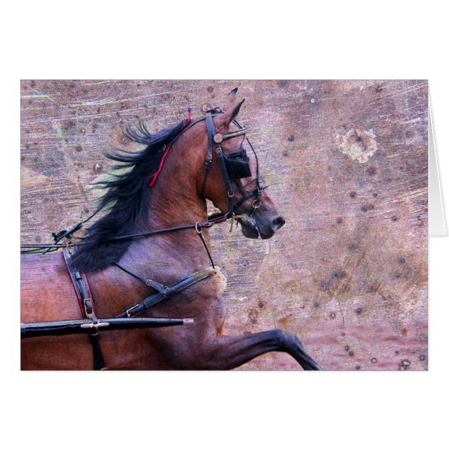 Hackney Grunge (Devant horizontal)