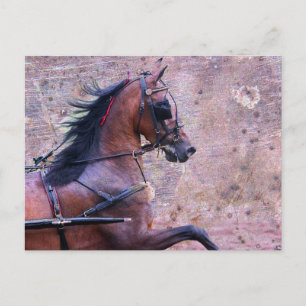 Hackney Grunge Postkarte