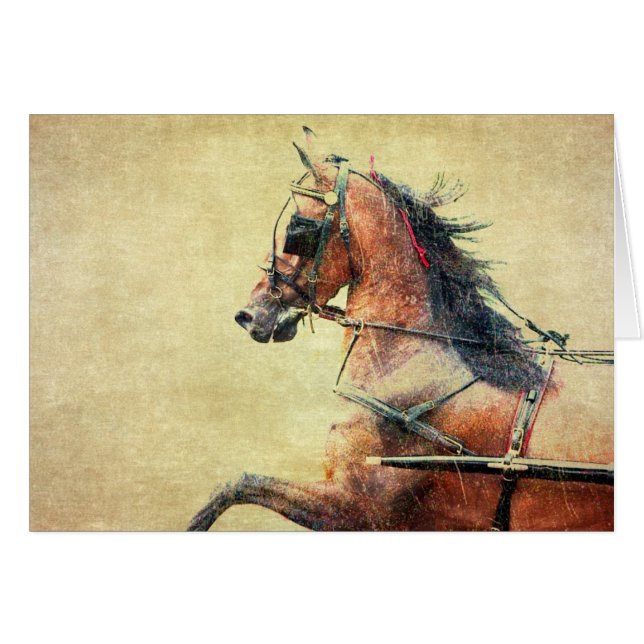 Hackney Pony Blank Inside Grußkarte (Vorderseite (Horizontal))