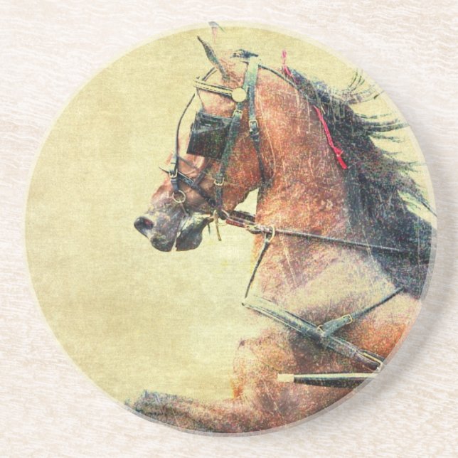 Hackney Pony Sandstein Untersetzer (Vorne)