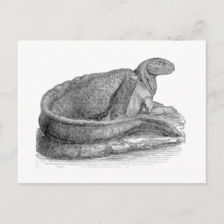 Hadrosaurus Skulptur Antique Print Postkarte