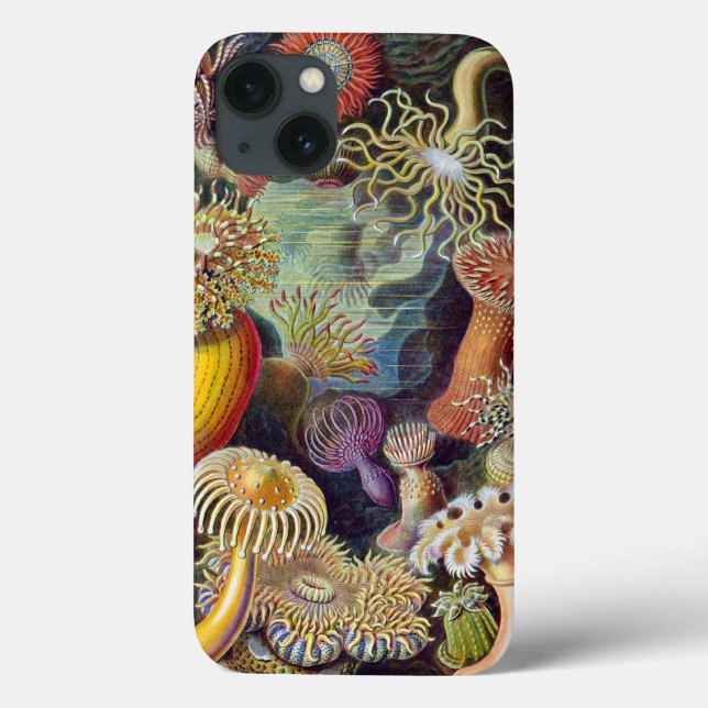 Haeckel Actiniae Vintag Print Case-Mate iPhone Hülle (Rückseite)